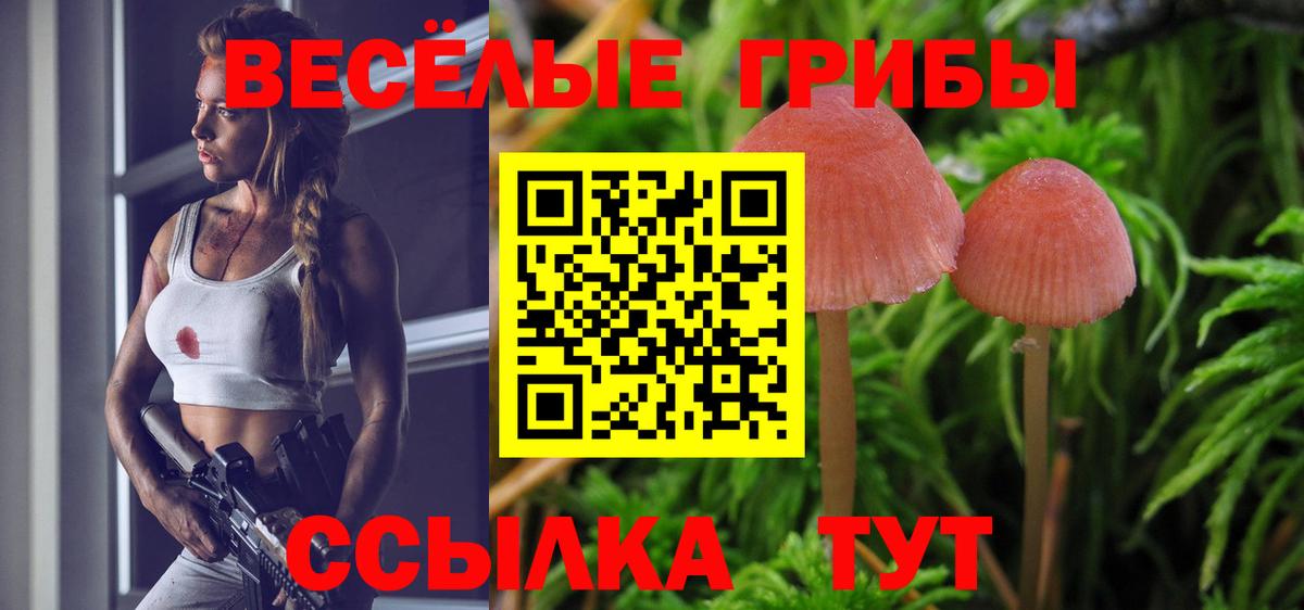 Псилоцибиновые грибы прущие грибы Тавда